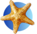 BZ-Card Verlosung: Sea Life